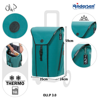 Unus Shopper Oli.P 3.0 petrol_5