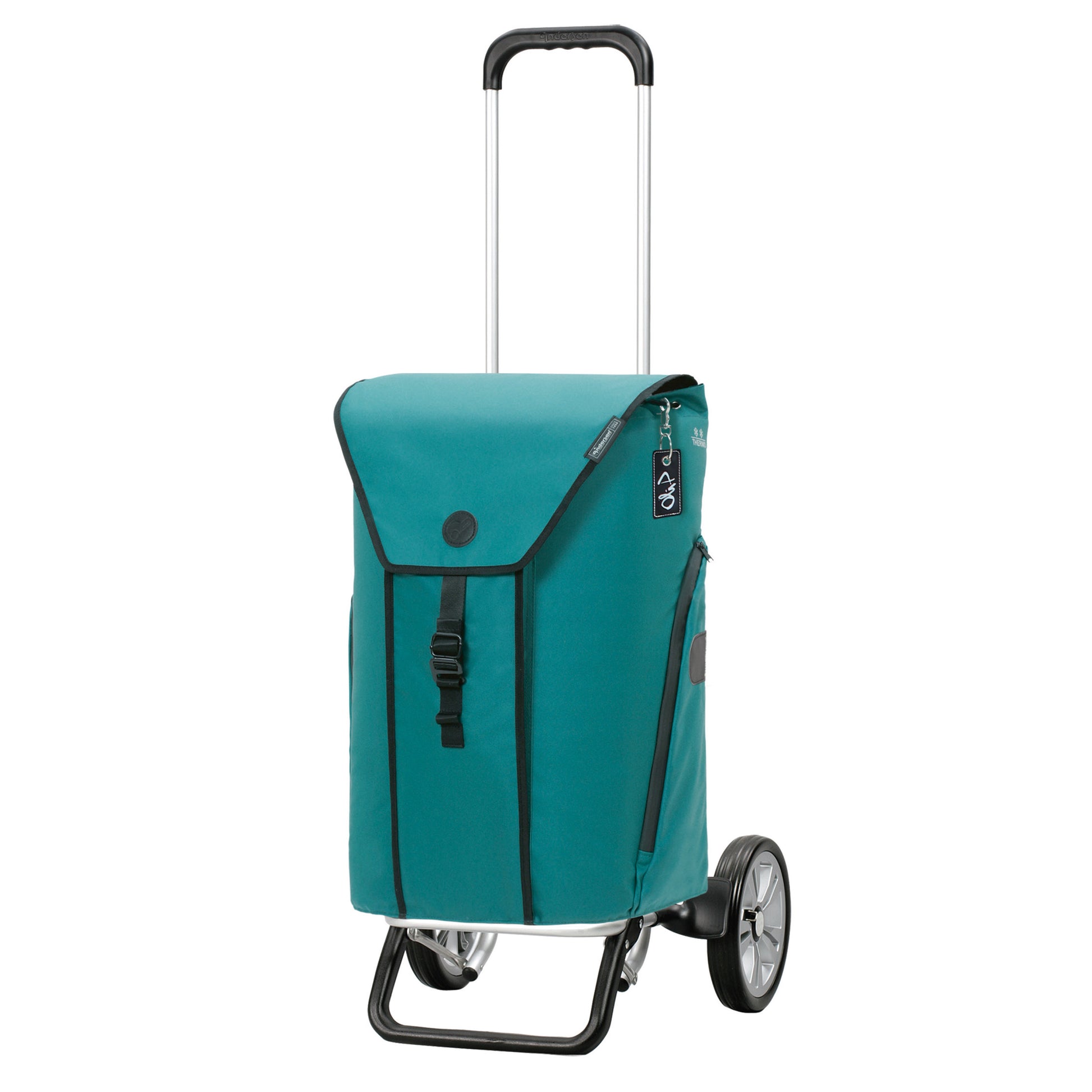 Alu Star Shopper Oli.P 3.0 petrol_1