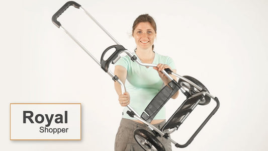 Royal Shopper - Tasche 360° Mole 2